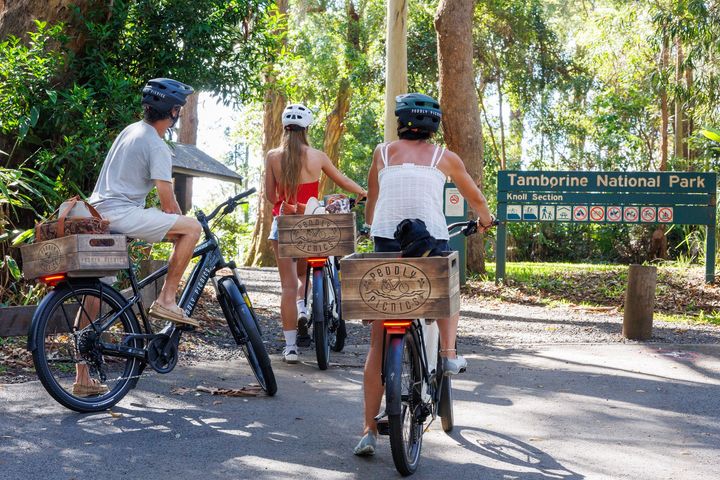 Tamborine Mountain Bike Rides
