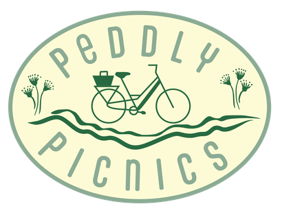 electric bikes gold coast hire