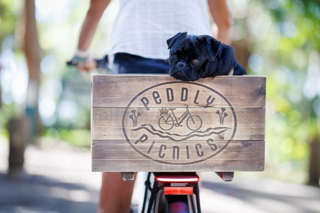 Bike Rental Tamborine Mountain