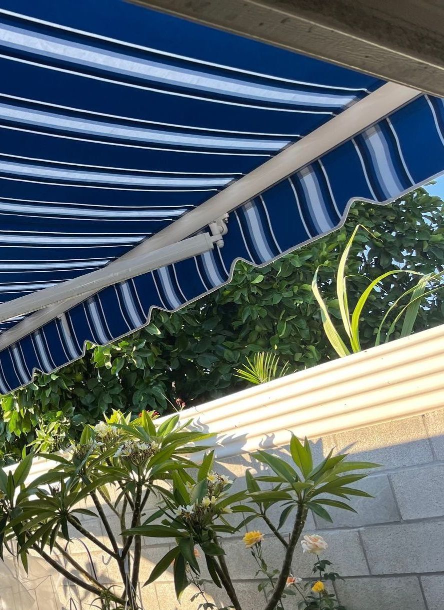 A blue and white striped awning is hanging over a tree.