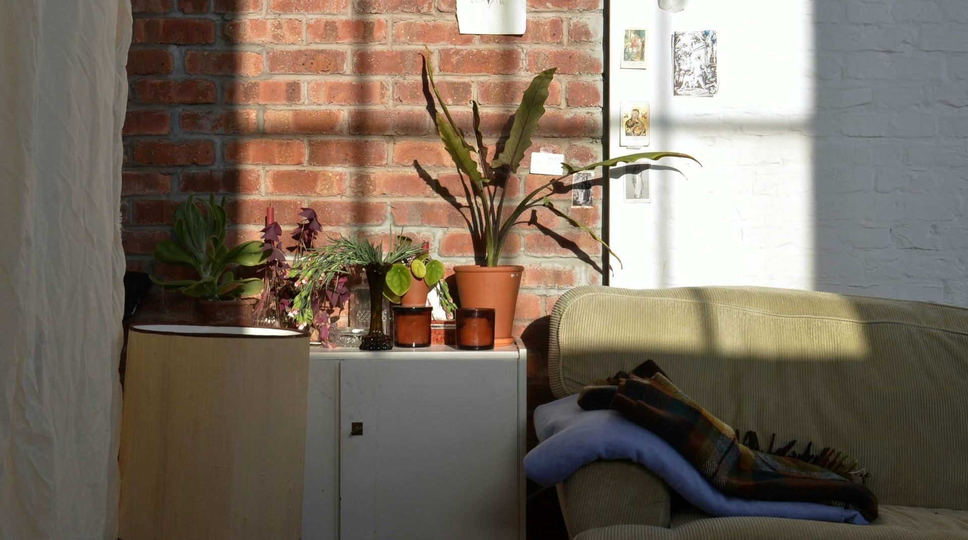 A living room with a couch and a table with potted plants on it.