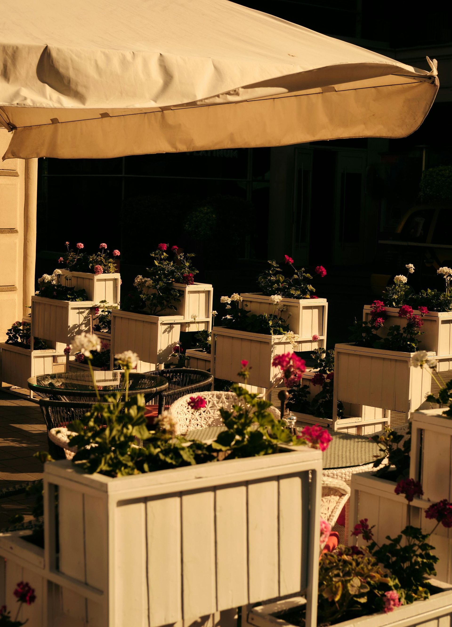 A row of white planters filled with flowers under an umbrella