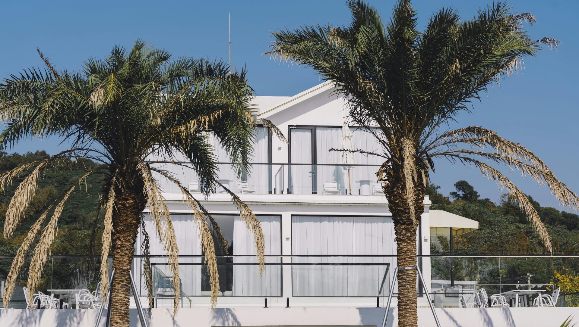 A white house with palm trees in front of it