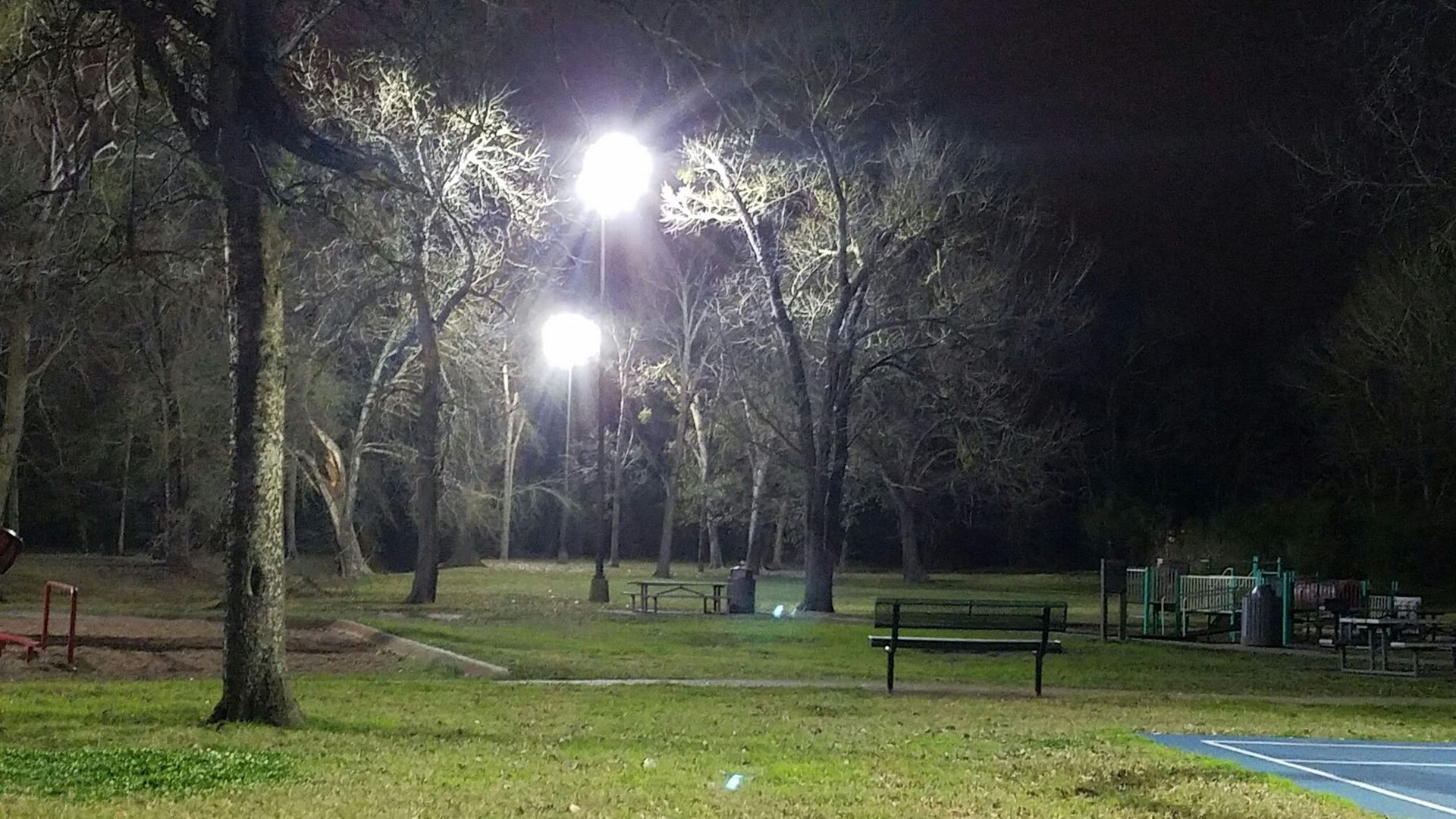 A park at night with lots of lights and trees.