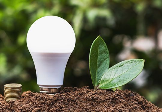 A light bulb is sitting on top of a pile of dirt next to a plant.