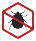 Bedbug - Termites in Harrisonburg, VA