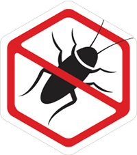 roach Termites in Harrisonburg, VA