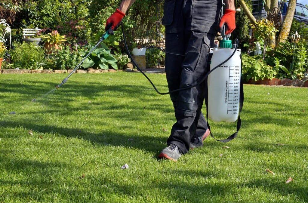 A person wearing protective clothing and red gloves sprays herbicide on a green lawn using a portable tank sprayer.