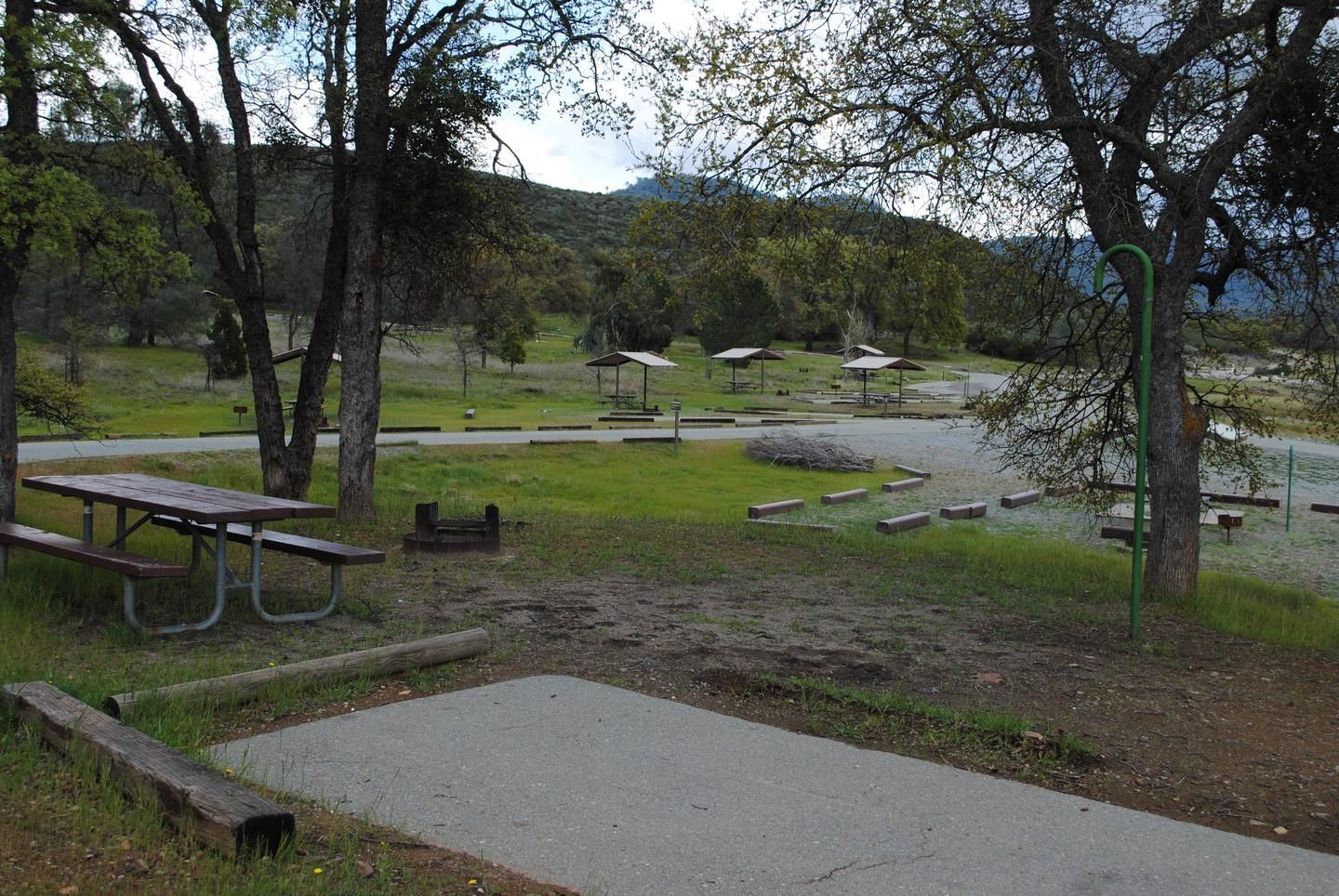 Camping scene with trailers, tents, and trees along a paved road.