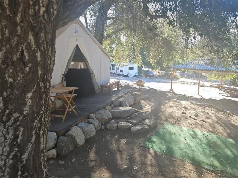 Canvas tent with a wooden deck, rocks, and trees in a campsite.