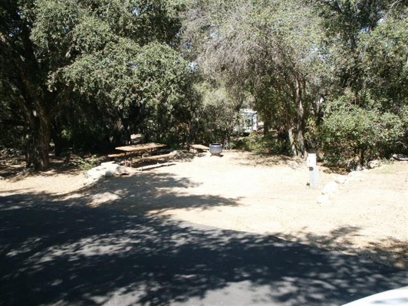 Campsite view with trees and shadows. Dirt and asphalt, with a picnic table and marker post.
