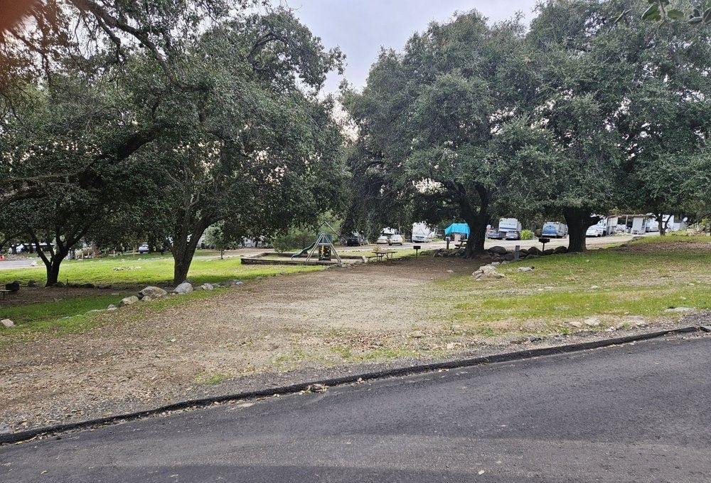 Grassy area with trees, gravel, and asphalt road. Several white vehicles visible in the background.