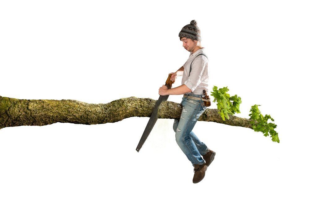 Out on a Limb
