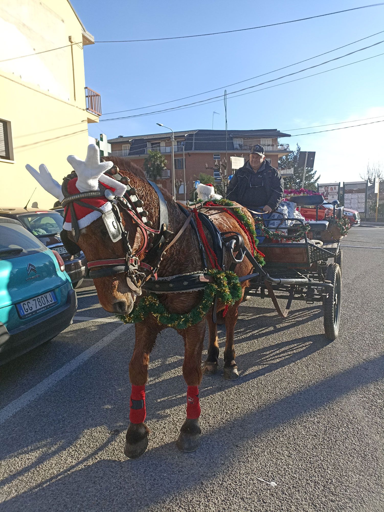 passeggiata in carrozza