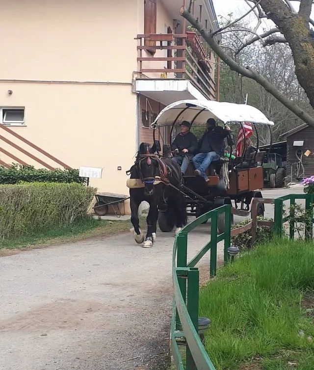 passeggiate in carrozza