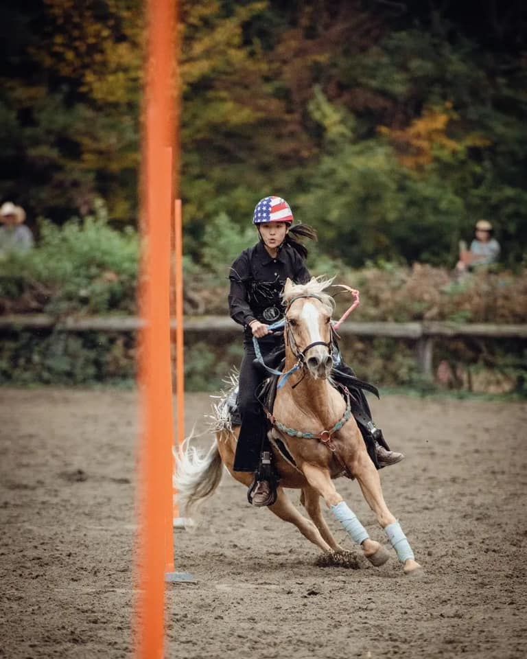 lezione di equitazione