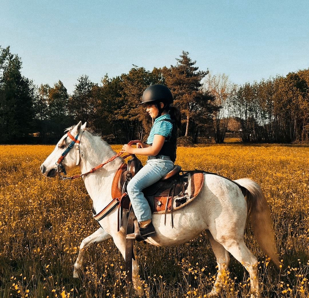 corso di equitazione monta western