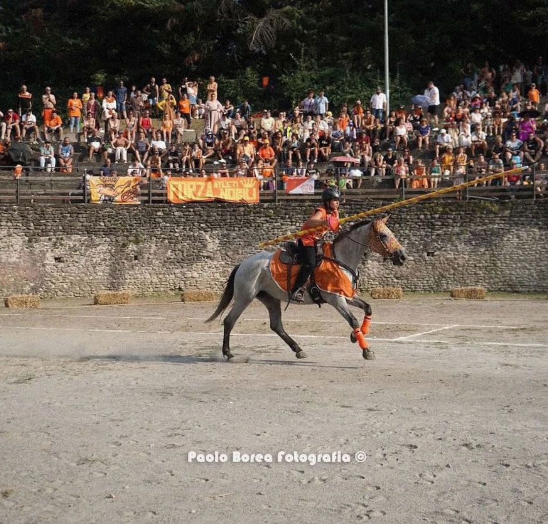 una persona a cavallo di fronte a una folla