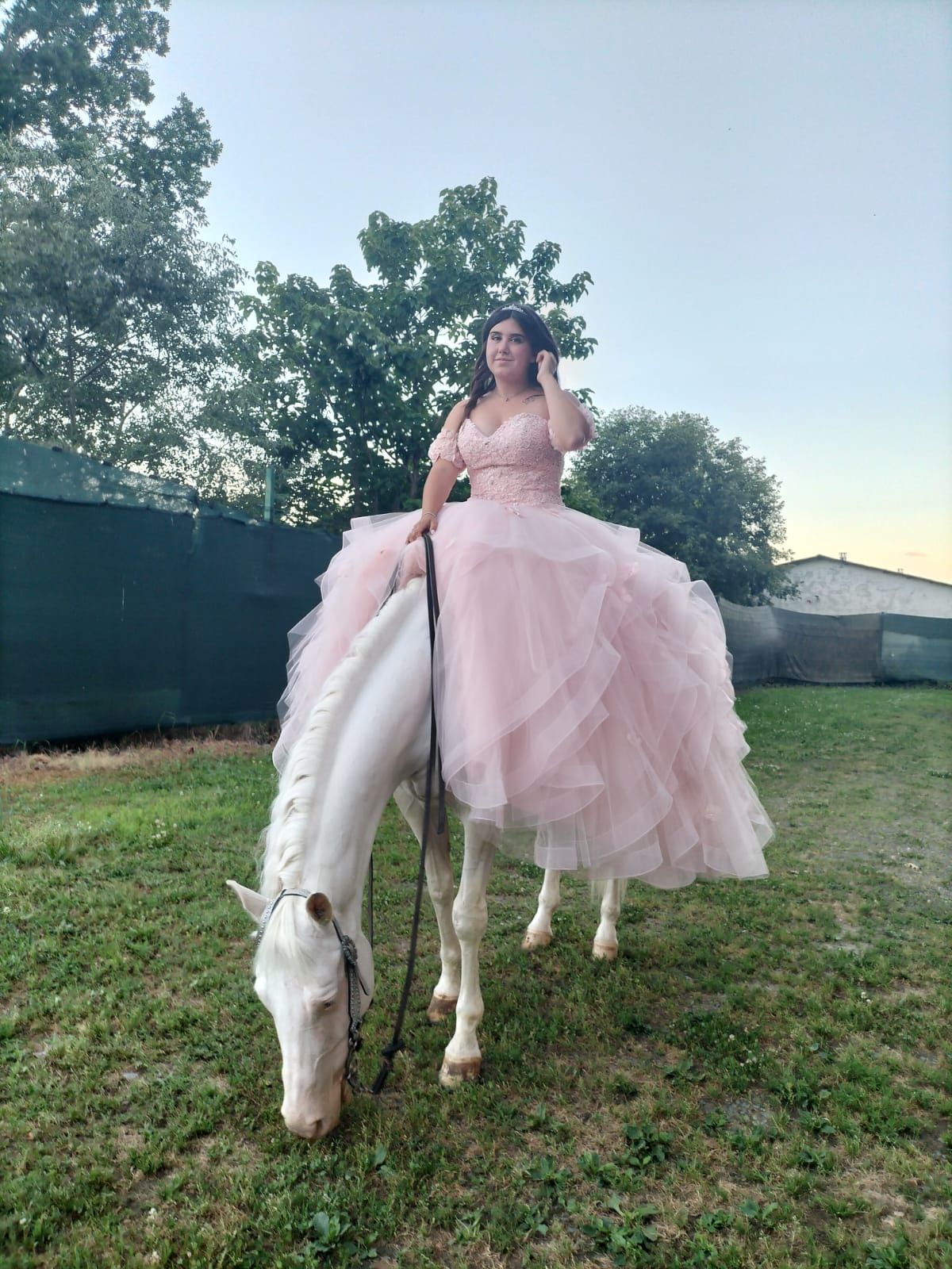 donna con un vestito rosa cavalca un cavallo bianco in un'arena