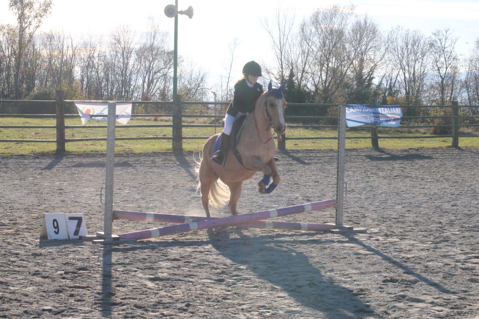 gara equestre con per corso a ostacoli
