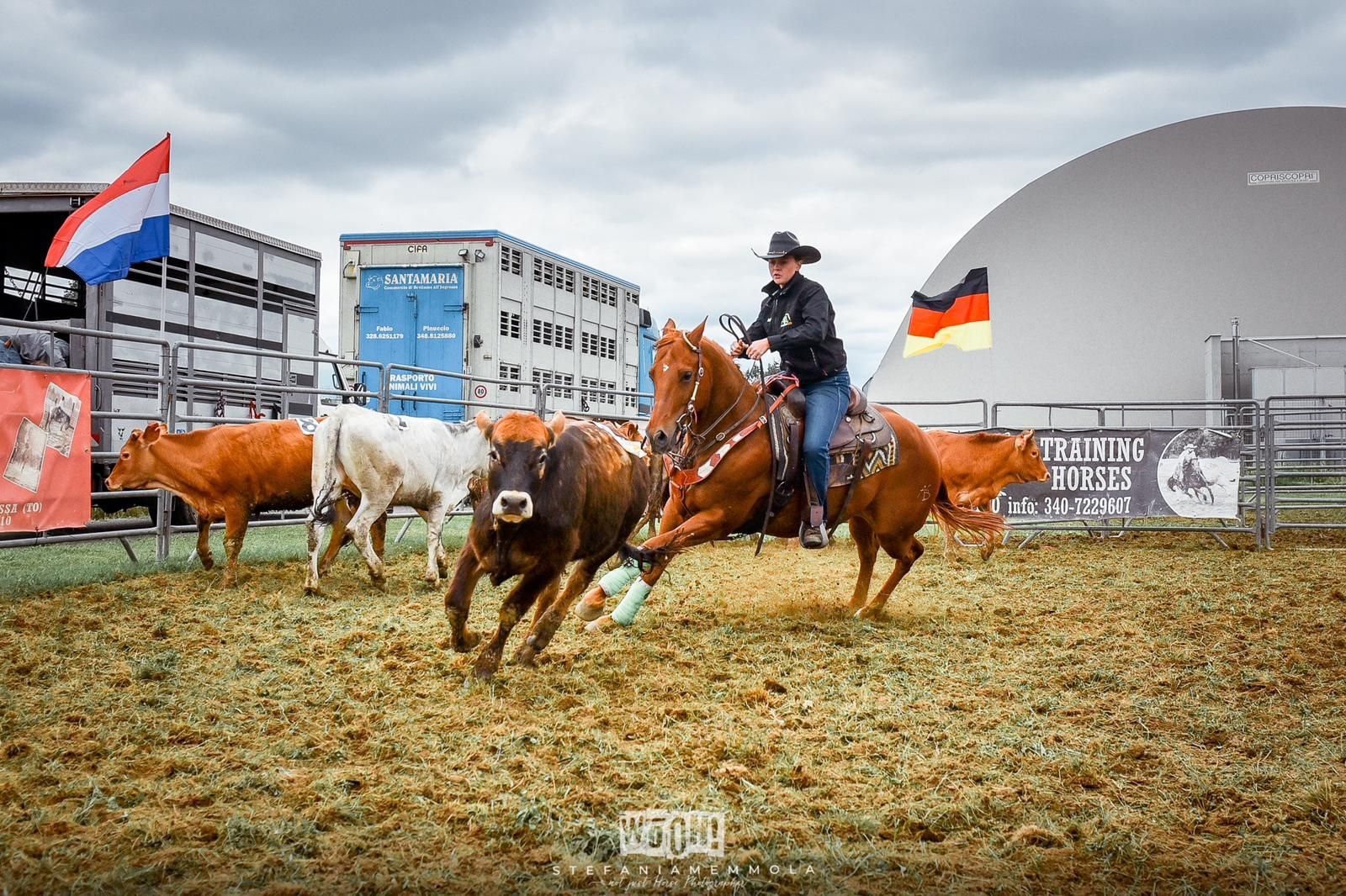 competizione equestre