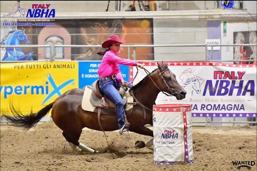 cavallo nella sua stalla