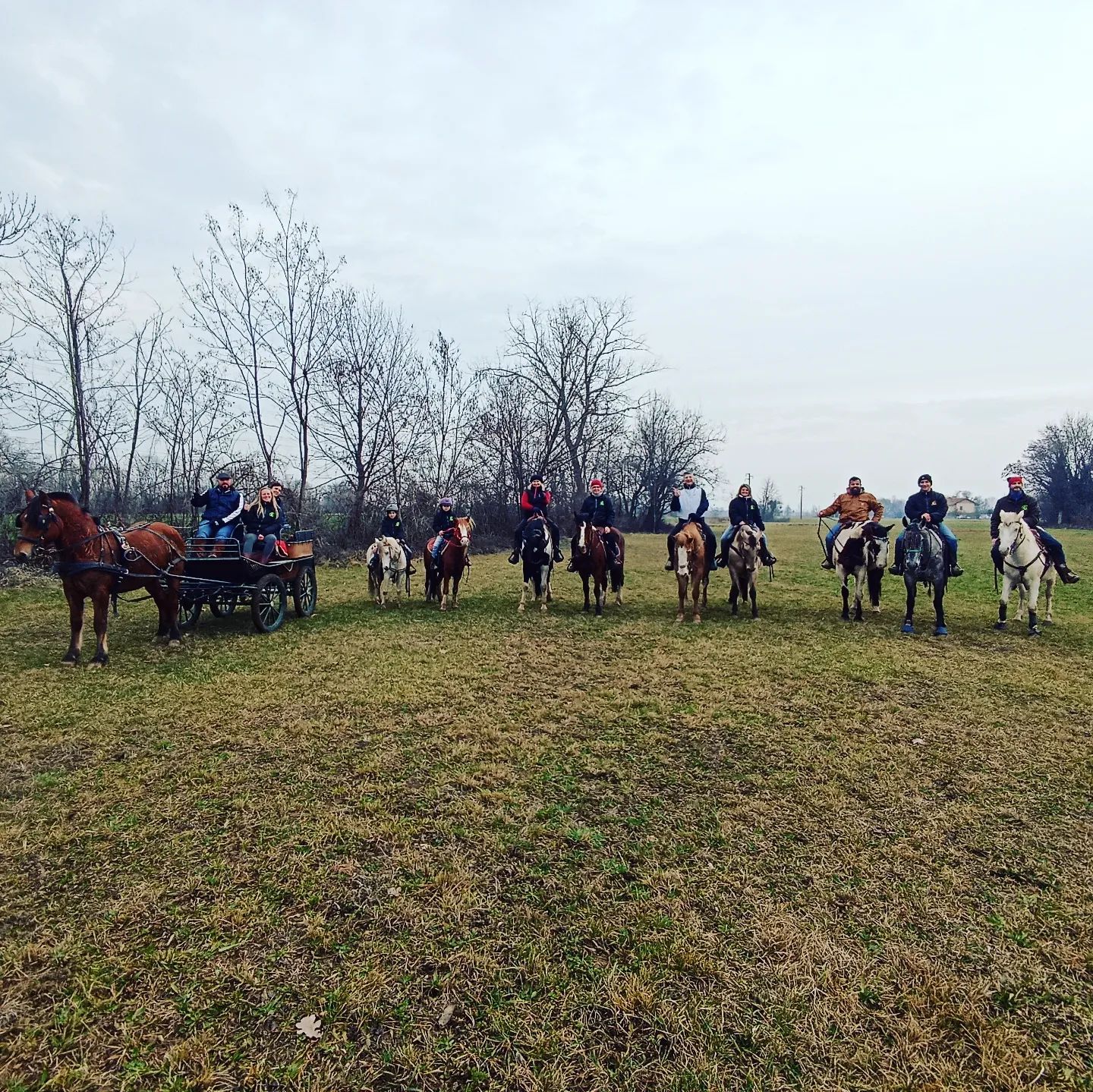 passeggiata con cavalli in pianura