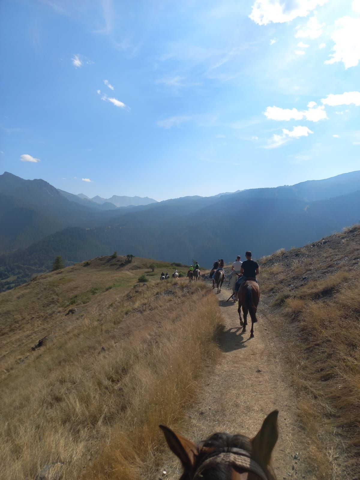 Passeggiate a cavallo a San Sicario alto