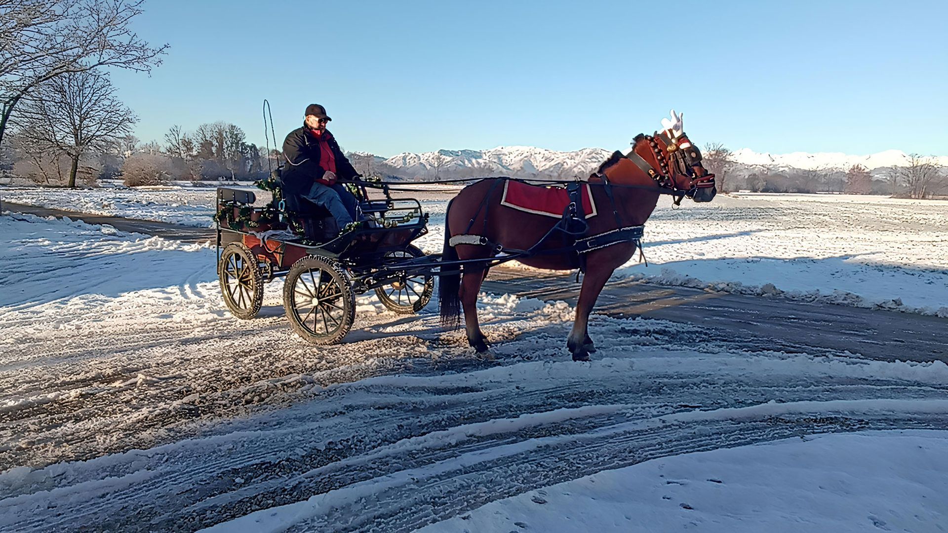 Passeggiate in carrozza