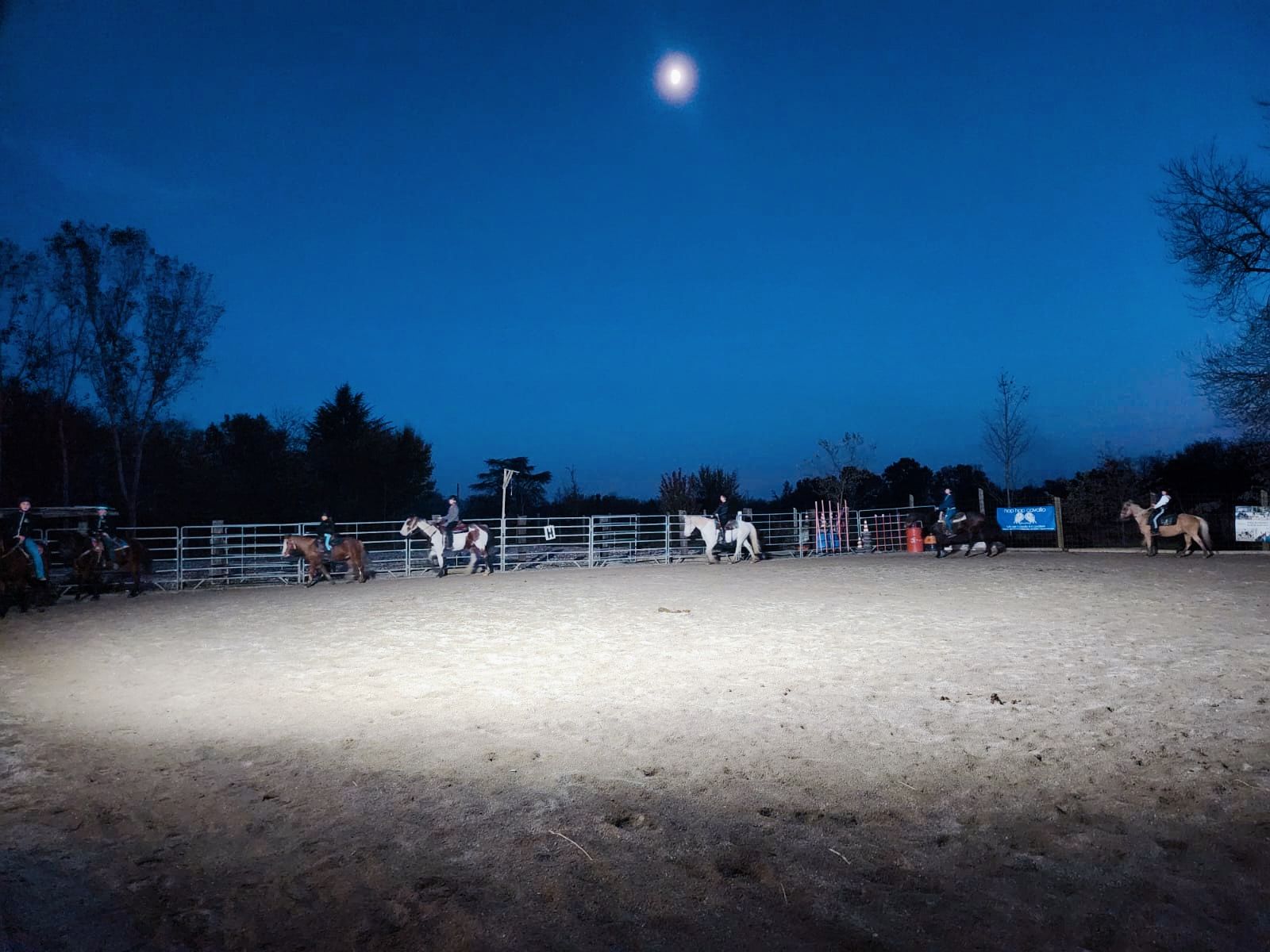 arena 30x30 per allenamenti e corsi con cavalli