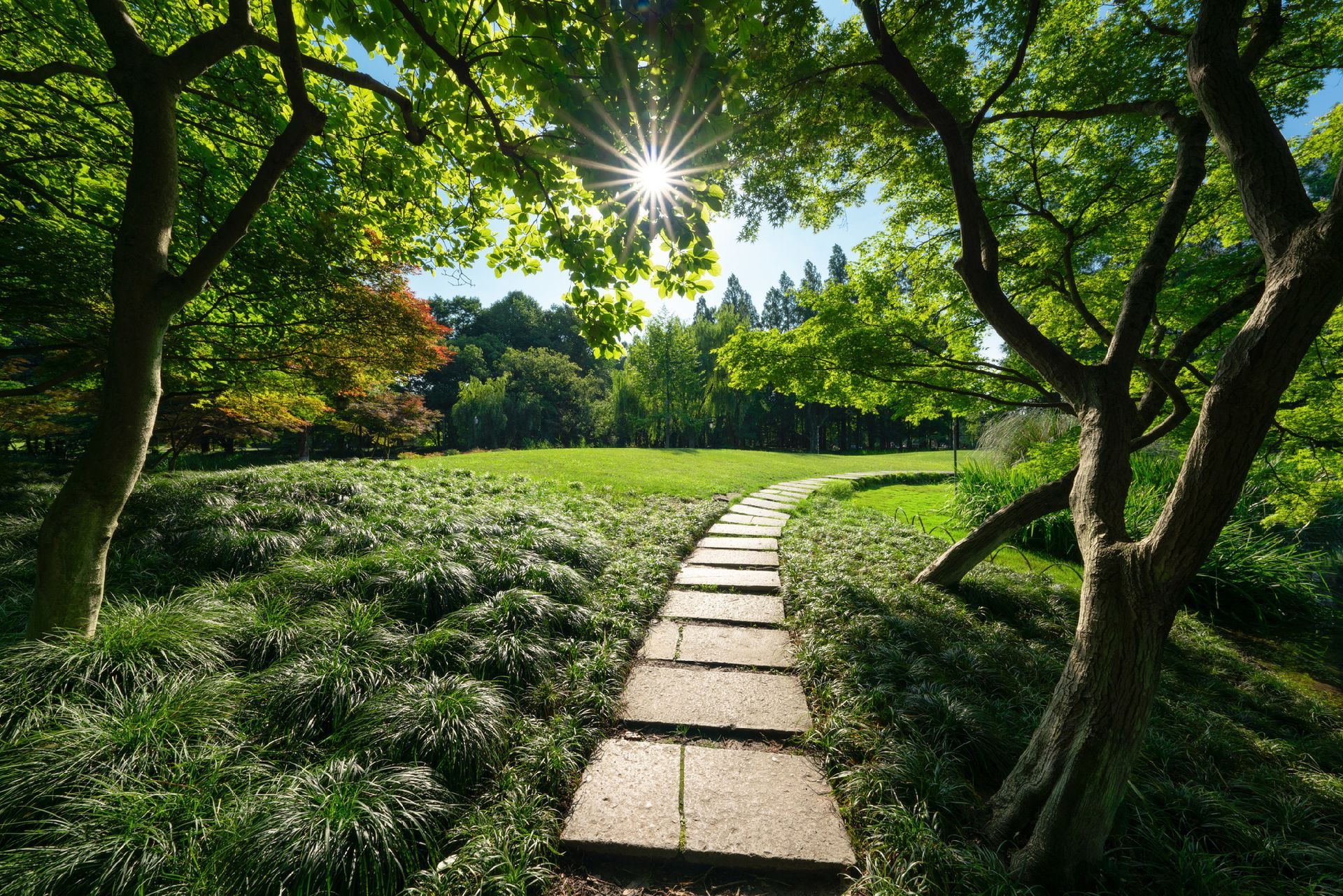 gestione tappeti erbosi Lugano Vassalli & Bronner