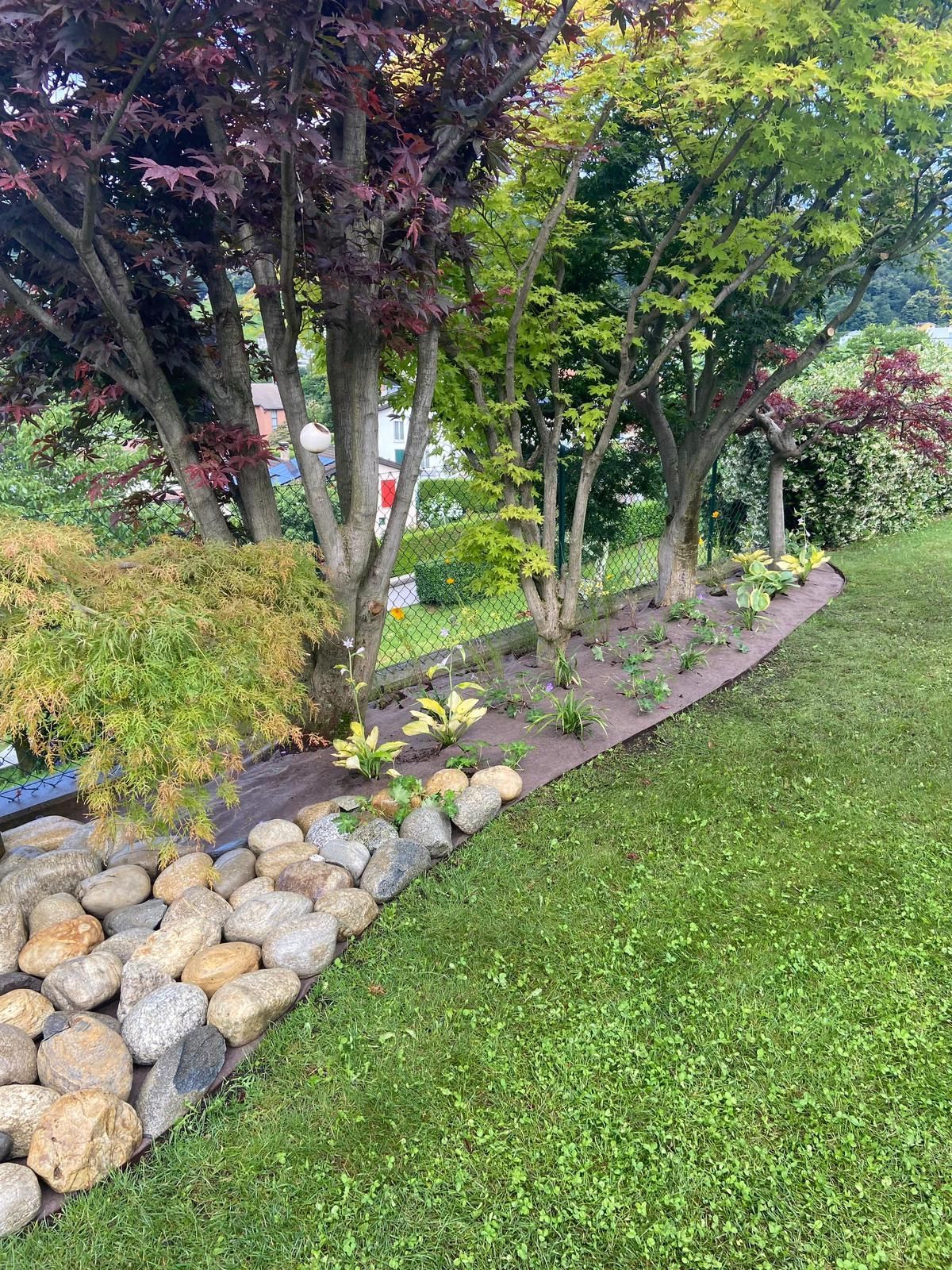 studio biotipo Lugano Vassalli & Bronner