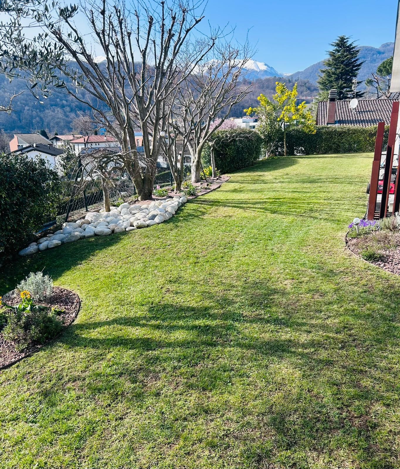 Come Preparare il Giardino all'Inverno a Lugano: La Guida Completa  Lugano, , Bioggio e Bedano