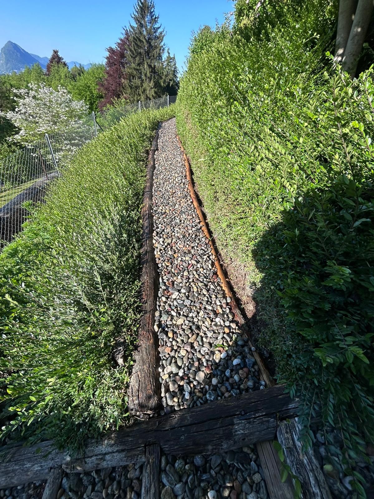 creazione vialetti Vassalli & Bronner Sagl