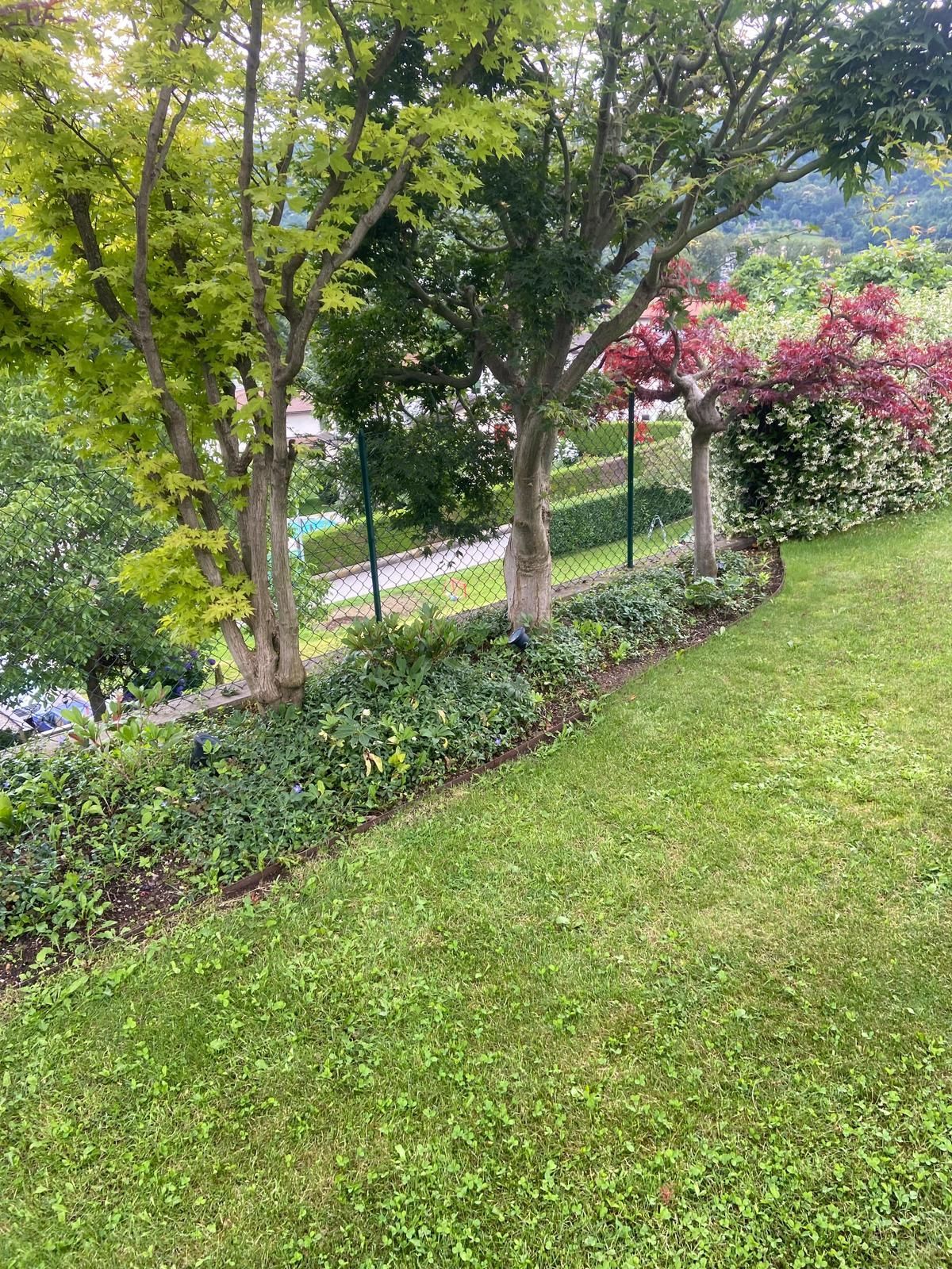 giardino Vassalli & Bronner Sagl