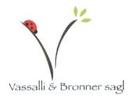 Logo Vassalli & Bronner Lugano