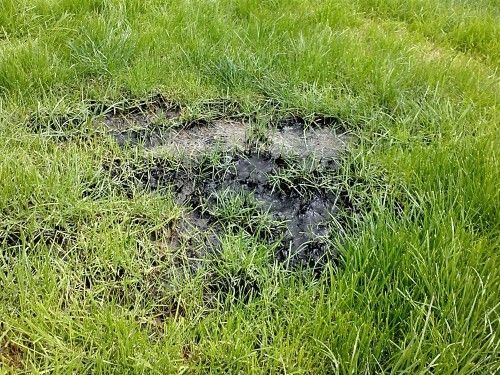 Failing Drainage: What You Need to Know