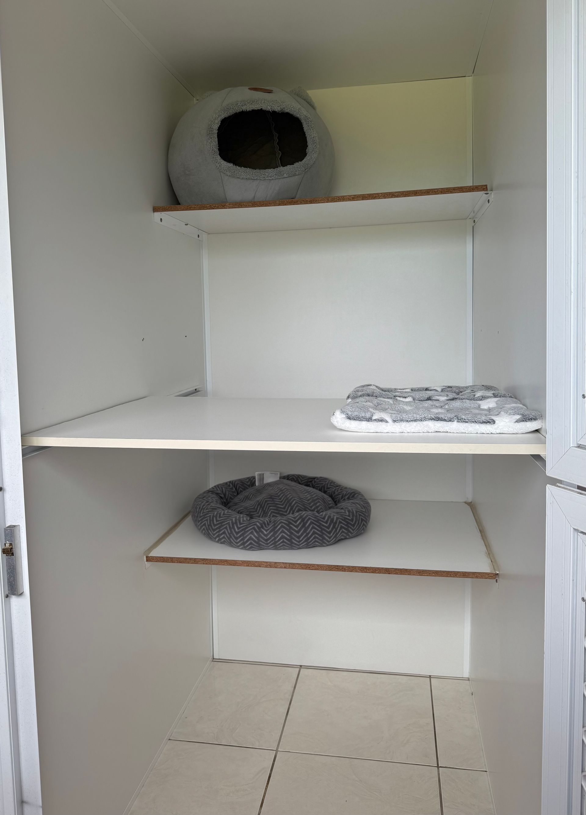 Cat Holiday Room — Isis Pet Resort in Goodwood, QLD