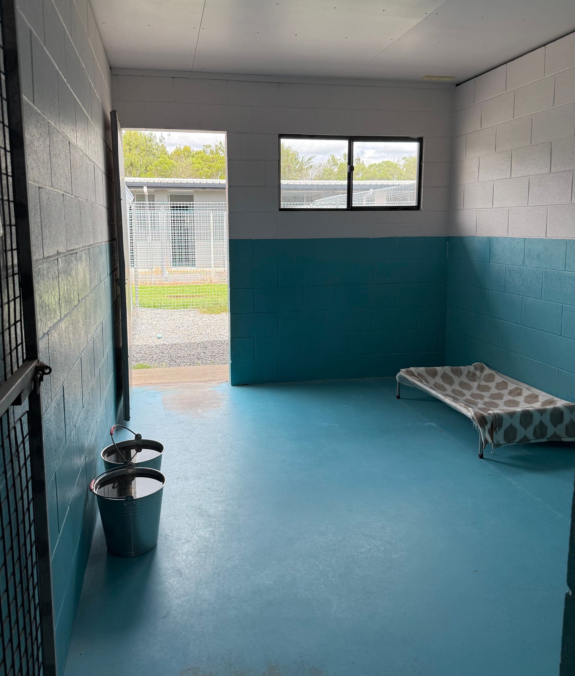 Country Club Dog Room — Isis Pet Resort in Goodwood, QLD