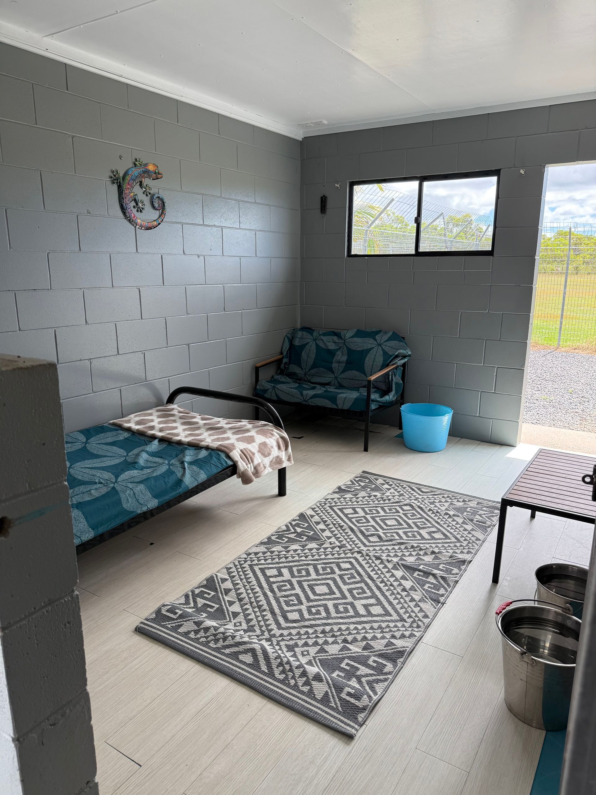 Luxury Dog Room  — Isis Pet Resort in Goodwood, QLD