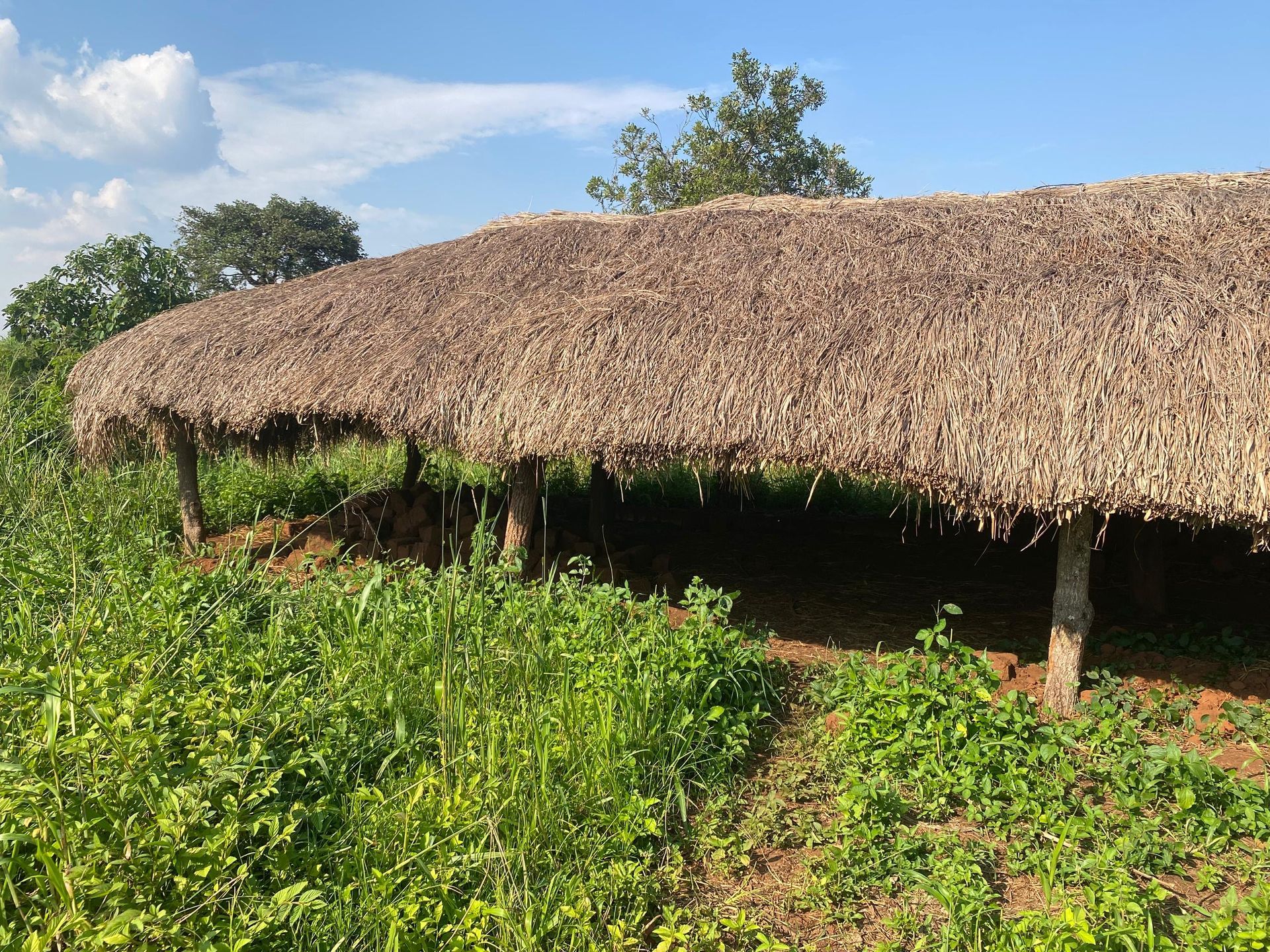 Nwoya, Uganda — an existing thatched-roof school structure on the campus, June 2026.