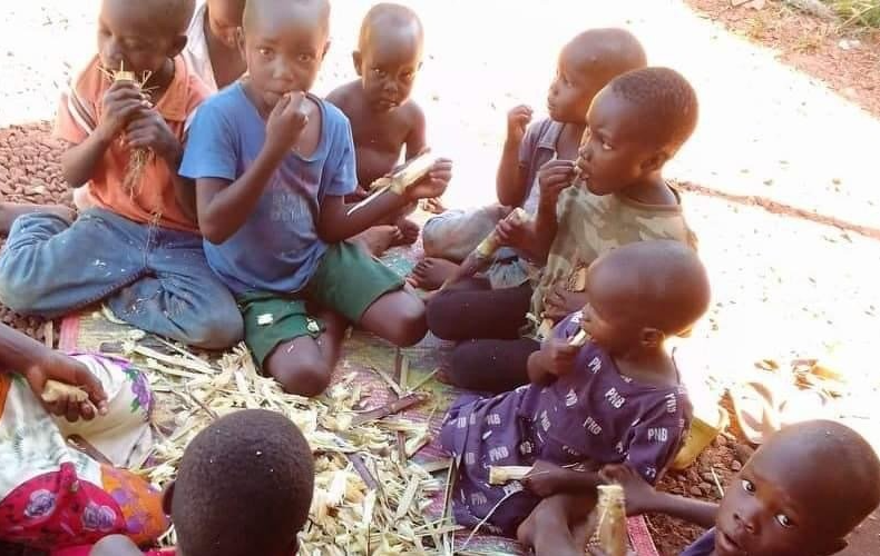 a group of children are sitting on the ground eating corn on the cob .