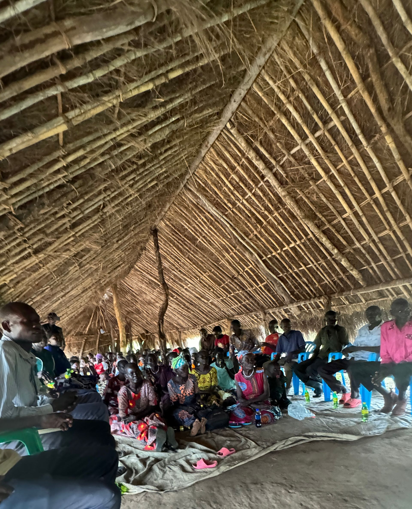 People seated under a thatched roof. Meeting or gathering. Daylight.
