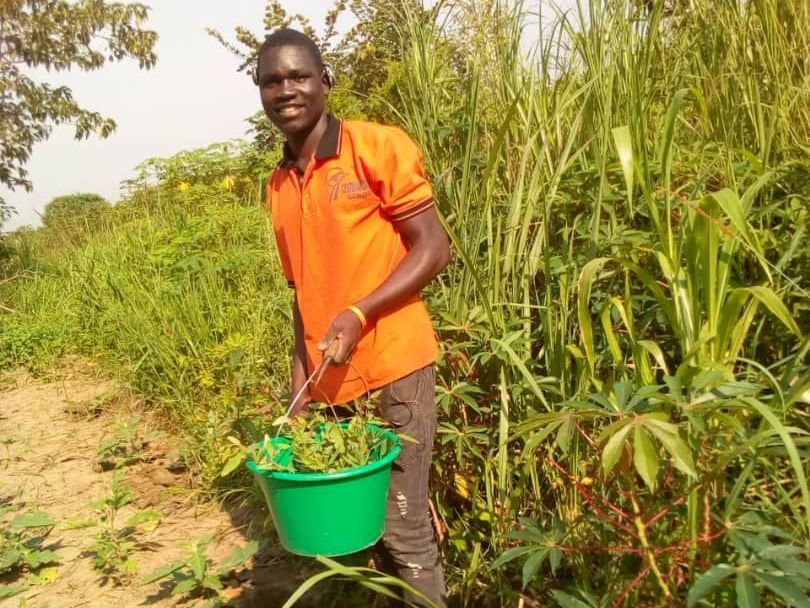 Isaac, serving his church in the community garden s holding a green bucket full of corn