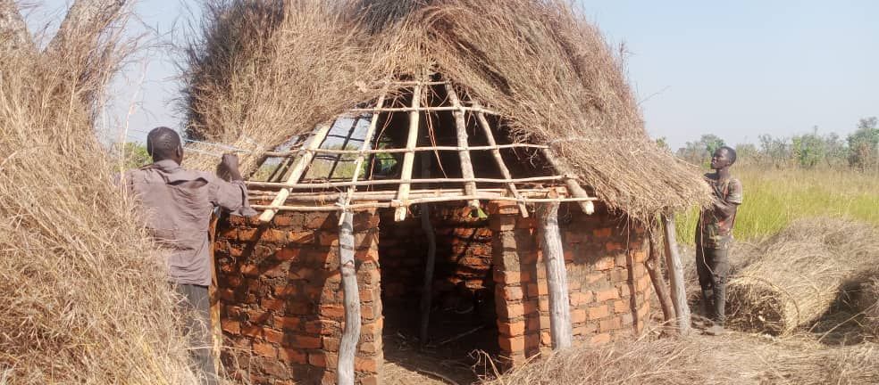 Men constructing a brick hut with a thatched roof in a grassy field.