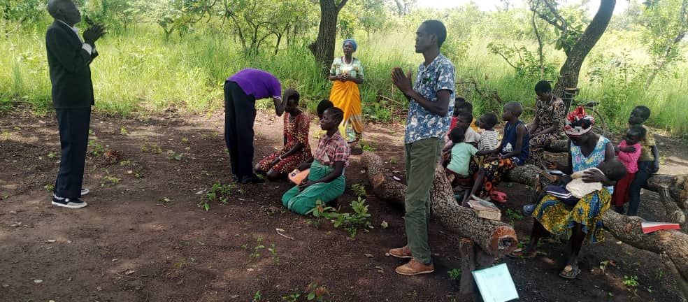 A group of people are sitting on a log in the woods.