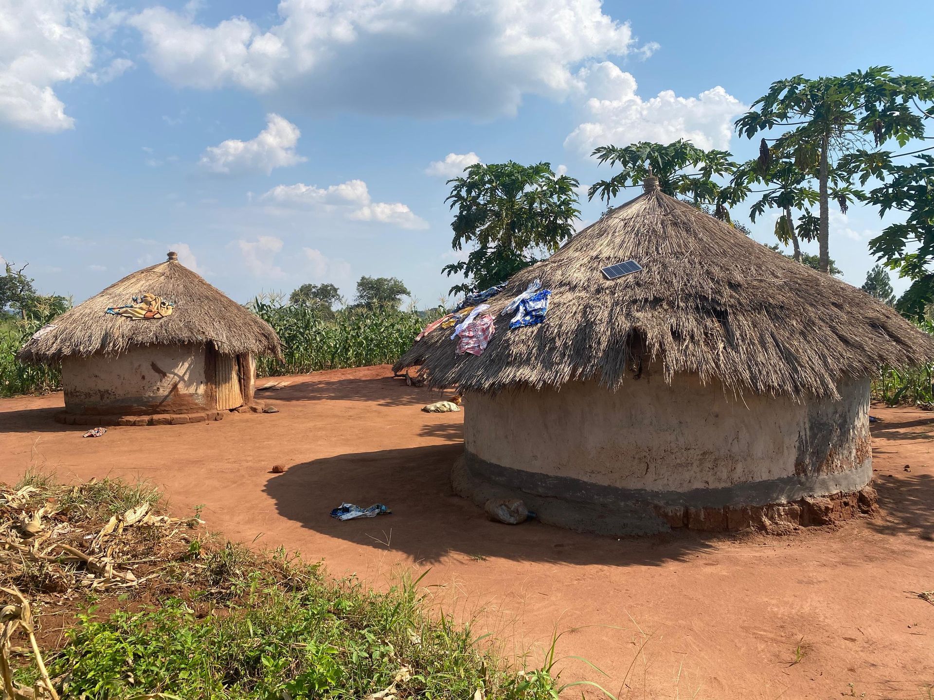 Nwoya, Uganda — thatched huts in the village adjacent to the school compound, June 2026.