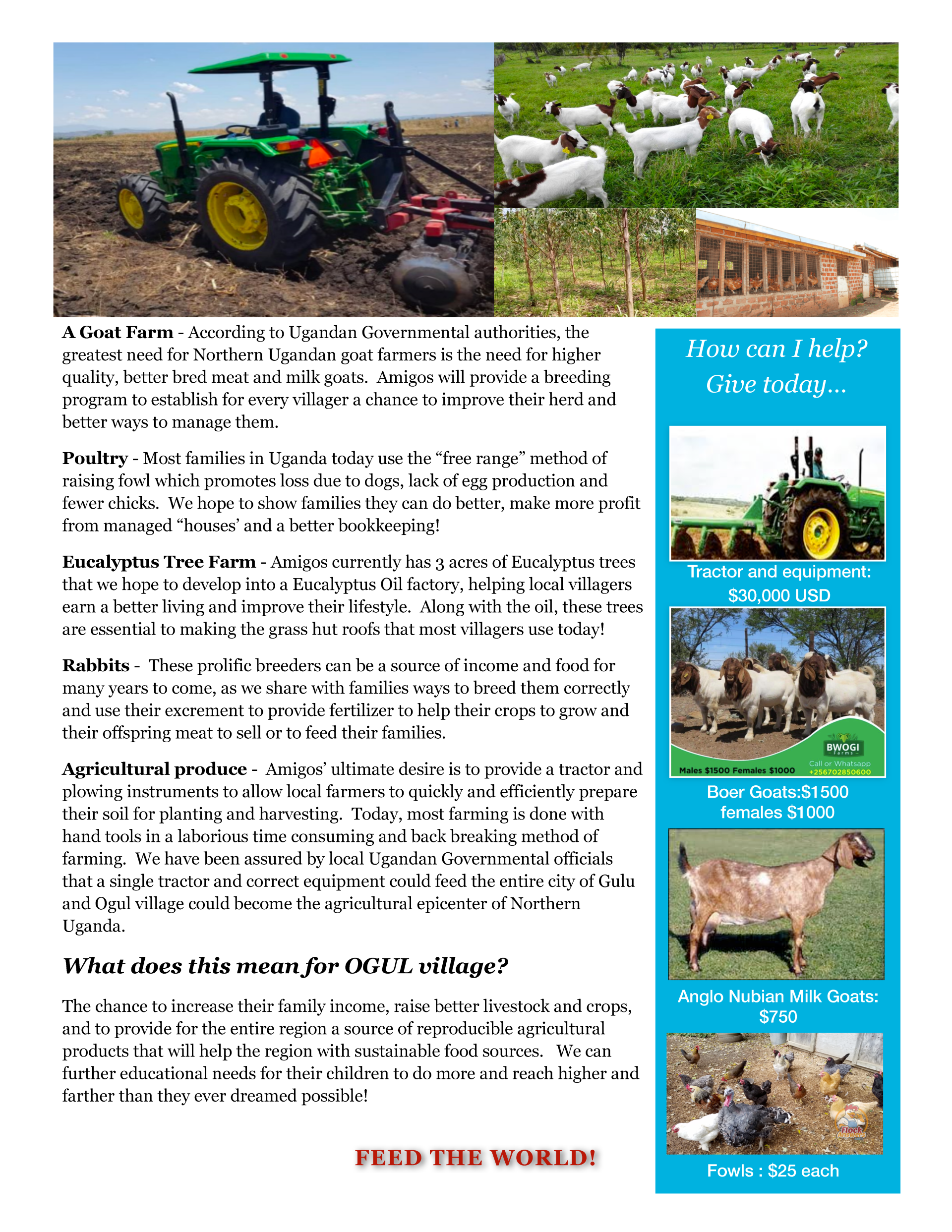 Image of 2nd page of our brochure on food and water and farming development