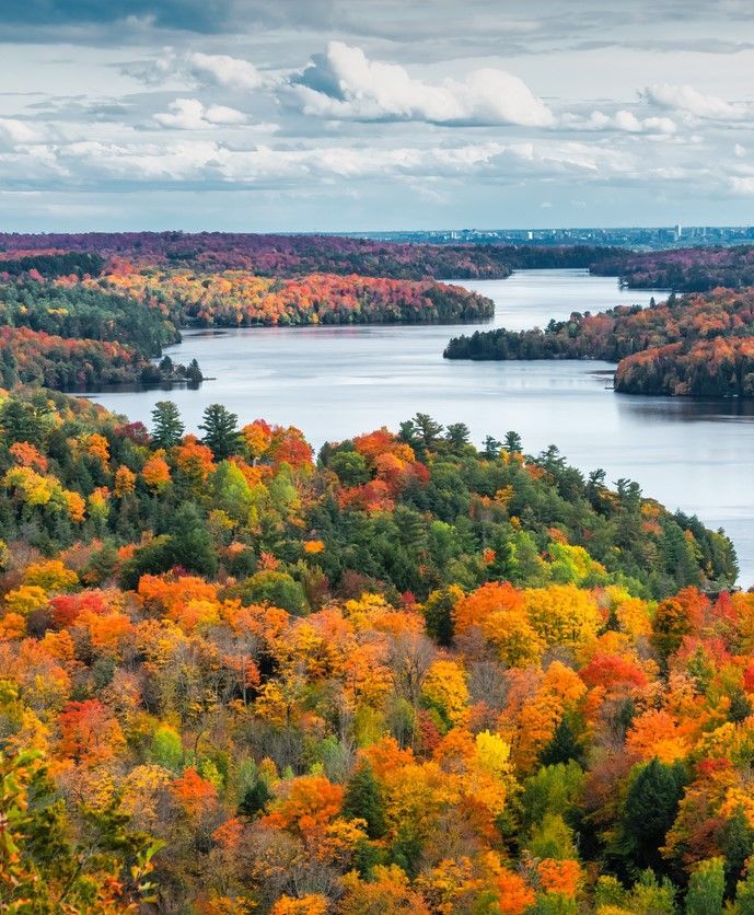 Vibrant autumn foliage surrounds a lake. 