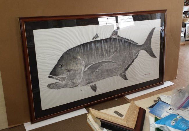Framed Print Of A Fish - Lihue, Hawaii - Art Shop Inc